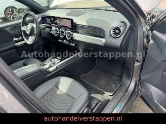 Mercedes EQB 250+ 71KWH Progressive Panorama picture 19