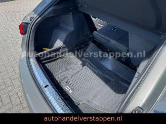 Audi Q3 35 TFSI S-Tronic S line Panorama picture 15