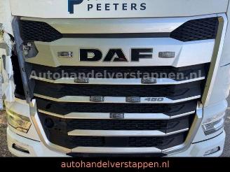 DAF XG 480 FT 2+Tank  VOLL Spoiler picture 5