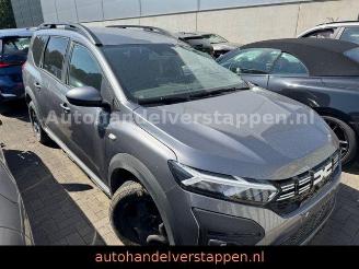 krockskadad bil auto Dacia Jogger Expression 81KW TCE Dolomit-Grau 2024/11