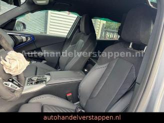 BMW X3 20d xDrive M Sport FROZEN PURE picture 24