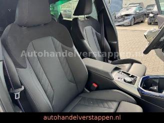 BMW X3 20d xDrive M Sport FROZEN PURE picture 21