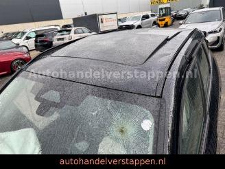 BMW X1 xDrive 25e 180KW Plug in hybrid Panorama picture 7