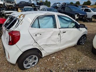 Kia Picanto Picanto (JA), Hatchback, 2017 1.0 12V picture 3