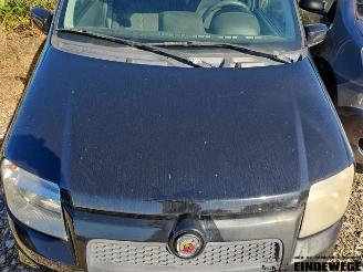 Fiat Panda Panda (169), Hatchback, 2003 / 2013 1.4 16V picture 24