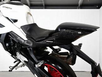 CFMoto  SR 450 picture 15