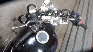 Suzuki  INAZUMA picture 17