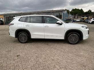 Volkswagen   picture 4