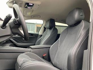 Volkswagen Passat Variant Business 2.0 TDI DSG *KAM - AHK* picture 15