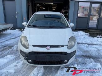 Fiat Punto Punto Evo (199), Hatchback, 2008 / 2012 1.3 JTD Multijet 85 16V Euro 5 picture 2