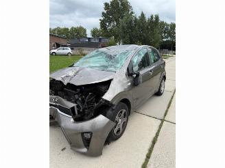 Kia Picanto Picanto (JA), Hatchback, 2017 1.0 12V picture 3