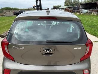 Kia Picanto Picanto (JA), Hatchback, 2017 1.0 12V picture 14