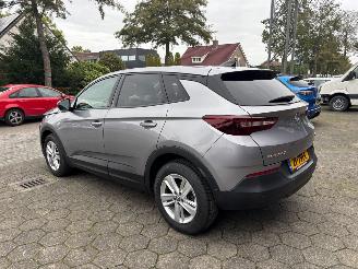 Opel Grandland X picture 3