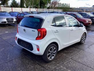 Kia Picanto Picanto (JA), Hatchback, 2017 1.0 12V picture 5