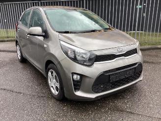 Salvage car Kia Picanto Picanto (JA), Hatchback, 2017 1.0 12V 2019/5