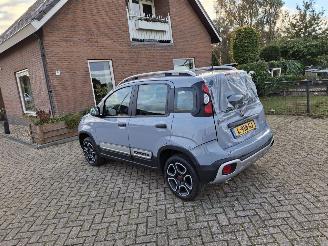 Fiat Panda 1.0 hybrid  cross   52kw  navi clima picture 12