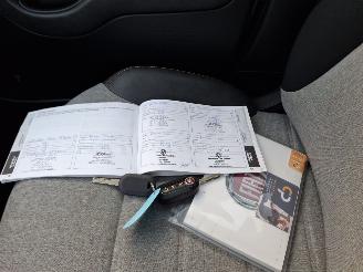 Fiat Panda 1.0 hybrid  cross   52kw  navi clima picture 5