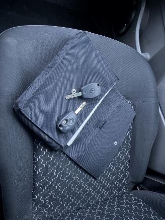 Renault Kangoo ROLSTOELLIFT picture 15