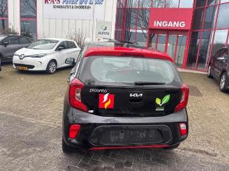 Salvage car Kia Picanto Picanto (JA), Hatchback, 2017 1.0 DPi 12V 2022/5