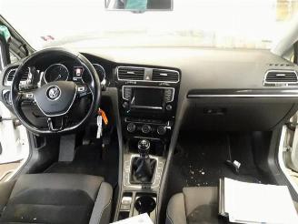 Volkswagen Golf Golf VII Variant (AUVV), Combi, 2013 / 2021 2.0 TDI 150 16V picture 20