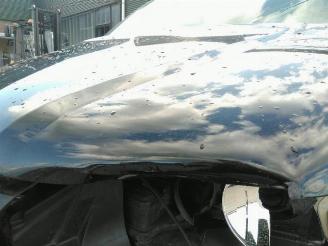 Volkswagen Transporter Transporter T5, Van, 2003 / 2015 2.0 BiTDI DRF picture 32