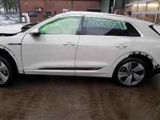 Audi E-tron E-tron (GEN), SUV, 2018 55 quattro picture 6