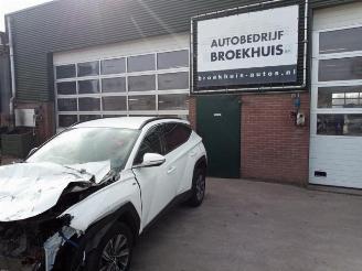 Hyundai Tucson Tucson (NX), SUV, 2020 1.6 T-GDI Hybrid 48V picture 1