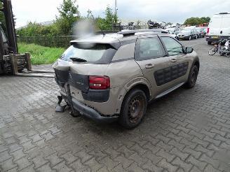 Citroën C4 cactus 1.2 12v picture 1