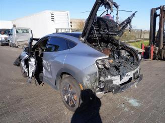 Ford USA Mustang Mach E picture 2