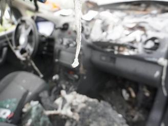 Volkswagen Caddy 1.6 TDi picture 6