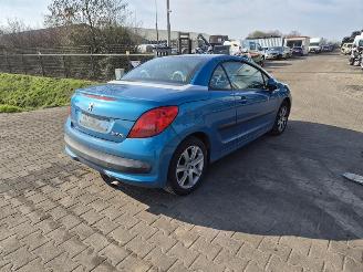 demontáž osobní automobily Peugeot 206 CC 2.0 16v 2004/8
