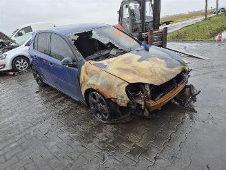 Volkswagen Golf 2.0 GTi picture 4