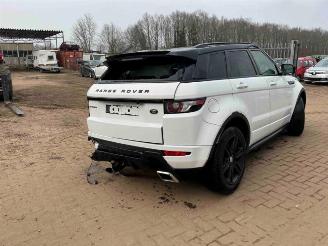 Land Rover Range Rover Evoque Range Rover Evoque (LVJ/LVS), SUV, 2011 / 2019 2.2 SD4 16V 5-drs. picture 2