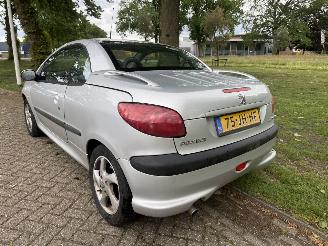 Peugeot 206  picture 3