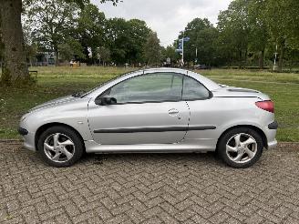 Peugeot 206  picture 2