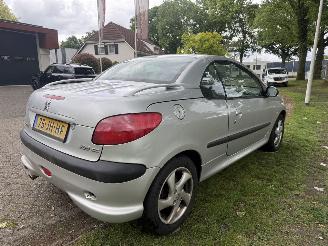 Peugeot 206  picture 5