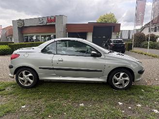 Peugeot 206  picture 6