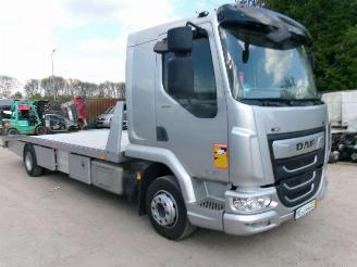 DAF LF 260 LF 260 FA - Transport Machines-Cars-Caravan picture 2