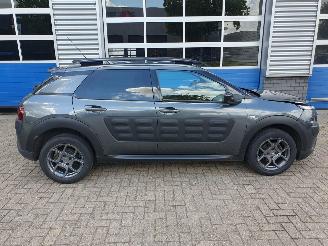 Citroën C4 cactus 1.2 PureTech W picture 6