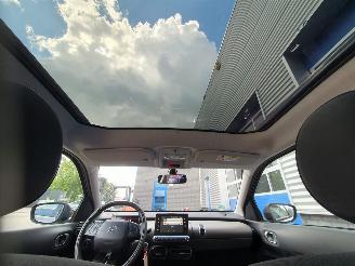 Citroën C4 cactus 1.2 PureTech W picture 18