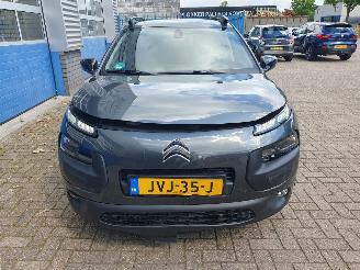 Citroën C4 cactus 1.2 PureTech W picture 8