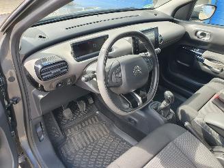 Citroën C4 cactus 1.2 PureTech W picture 15
