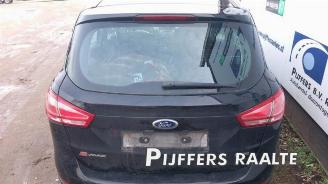 Ford B-Max B-Max (JK8), MPV, 2012 1.0 EcoBoost 12V 100 picture 14