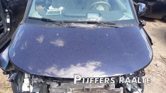 Citroën C3 picasso C3 Picasso (SH), MPV, 2008 / 2017 1.6 16V VTI 120 picture 22