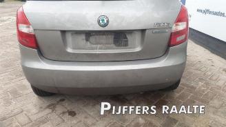 Skoda Fabia Fabia II (5J), Hatchback 5-drs, 2006 / 2014 1.2 TDI 12V Greenline picture 10