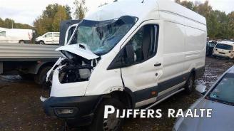 Vrakbiler auto Ford Transit Transit, Van, 2013 2.0 TDCi 16V Eco Blue 130 RWD 2024/5