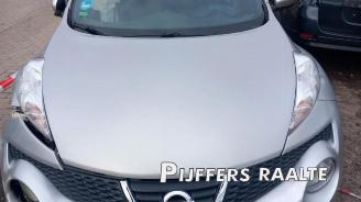 Nissan Juke Juke (F15), SUV, 2010 / 2019 1.6 16V picture 9