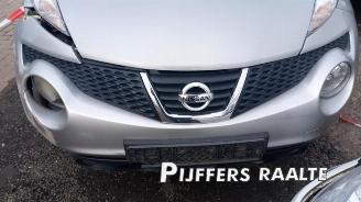 Nissan Juke Juke (F15), SUV, 2010 / 2019 1.6 16V picture 11