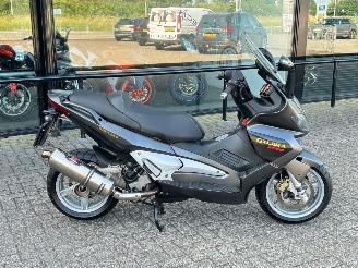 Gilera  Nexus 500 picture 6