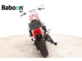Harley-Davidson  FXDL Dyna picture 7